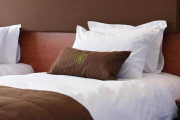 Фото номера Двухместный номер с 1 кроватью или 2 отдельными кроватями Отель Hotel Fantanita Haiducului г. Bradu 5